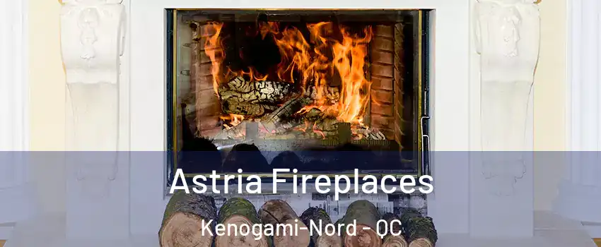  Astria Fireplaces Kenogami-Nord - QC