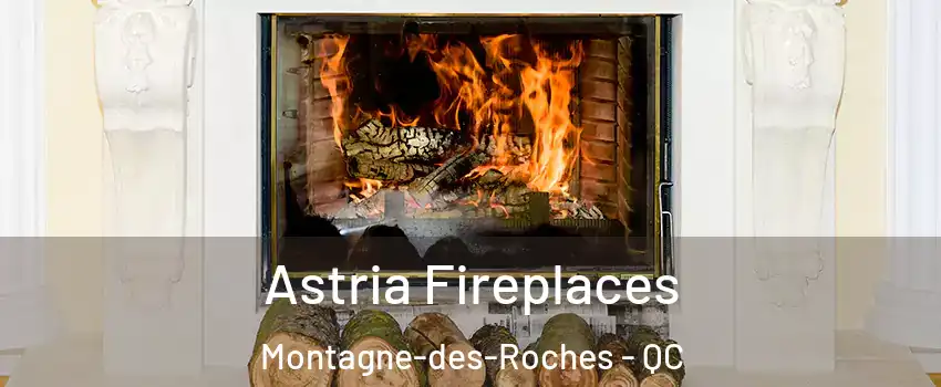  Astria Fireplaces Montagne-des-Roches - QC