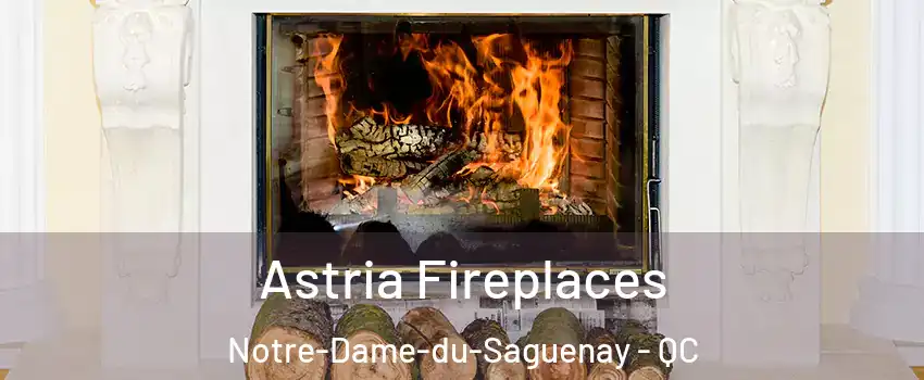  Astria Fireplaces Notre-Dame-du-Saguenay - QC
