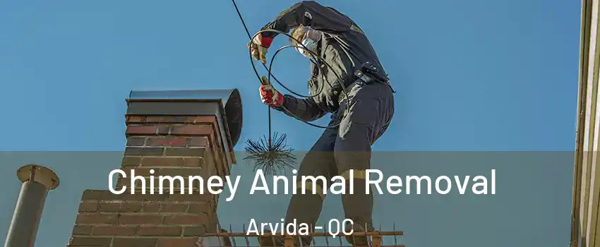 Chimney Animal Removal Arvida - QC