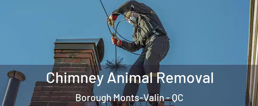 Chimney Animal Removal Borough Monts-Valin - QC