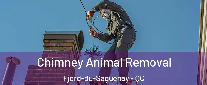 Chimney Animal Removal Fjord-du-Saguenay - QC
