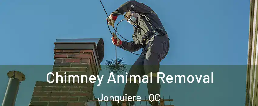 Chimney Animal Removal Jonquiere - QC