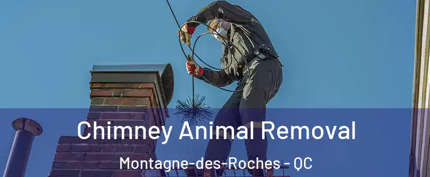 Chimney Animal Removal Montagne-des-Roches - QC