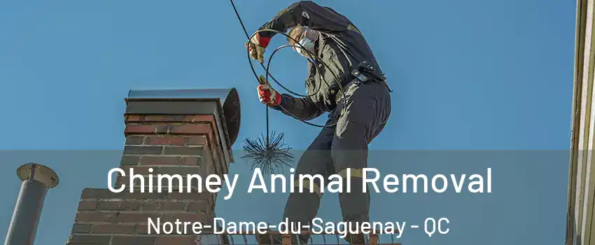 Chimney Animal Removal Notre-Dame-du-Saguenay - QC