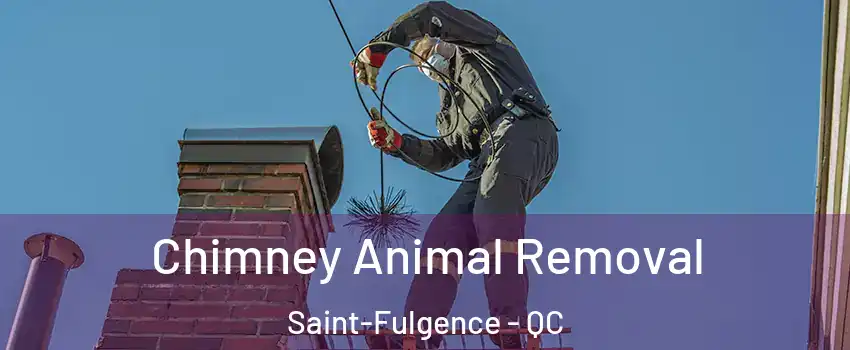 Chimney Animal Removal Saint-Fulgence - QC