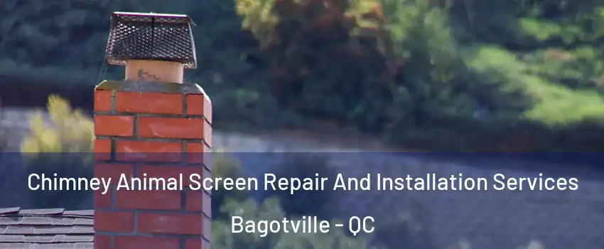  Chimney Animal Screen Repair And Installation Services Bagotville - QC