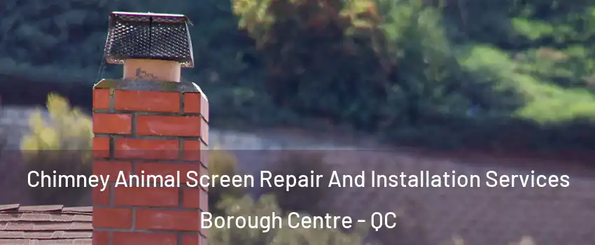  Chimney Animal Screen Repair And Installation Services Borough Centre - QC