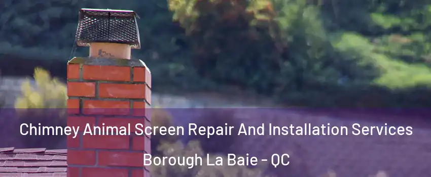  Chimney Animal Screen Repair And Installation Services Borough La Baie - QC
