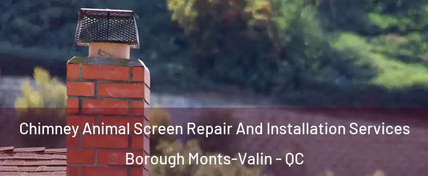  Chimney Animal Screen Repair And Installation Services Borough Monts-Valin - QC