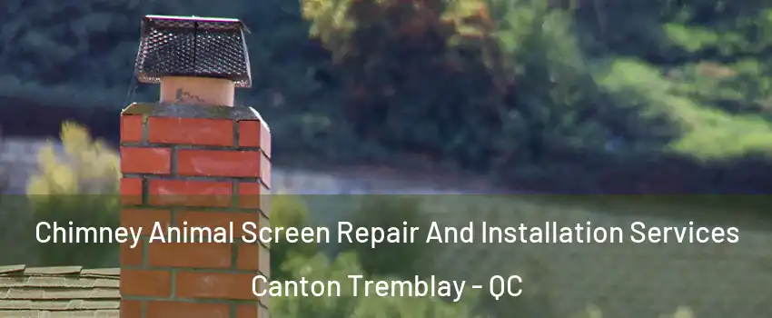 Chimney Animal Screen Repair And Installation Services Canton Tremblay - QC