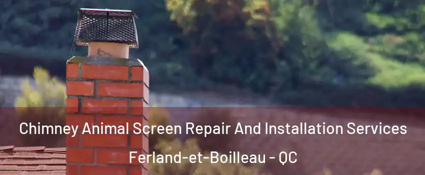  Chimney Animal Screen Repair And Installation Services Ferland-et-Boilleau - QC