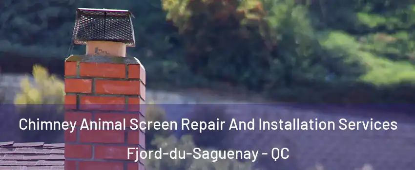  Chimney Animal Screen Repair And Installation Services Fjord-du-Saguenay - QC