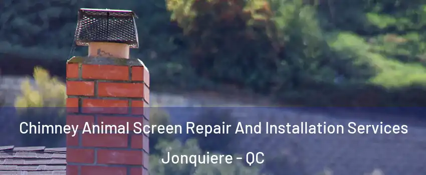 Chimney Animal Screen Repair And Installation Services Jonquiere - QC