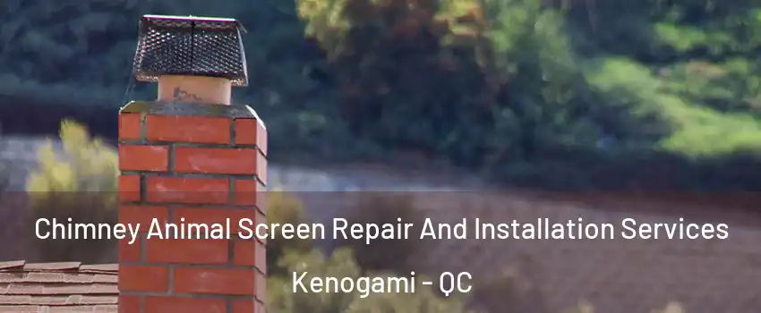  Chimney Animal Screen Repair And Installation Services Kenogami - QC