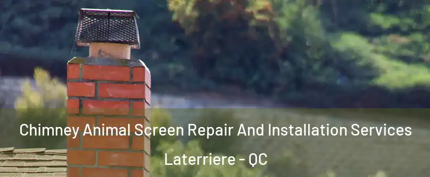  Chimney Animal Screen Repair And Installation Services Laterriere - QC