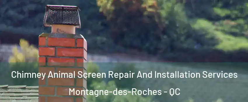  Chimney Animal Screen Repair And Installation Services Montagne-des-Roches - QC