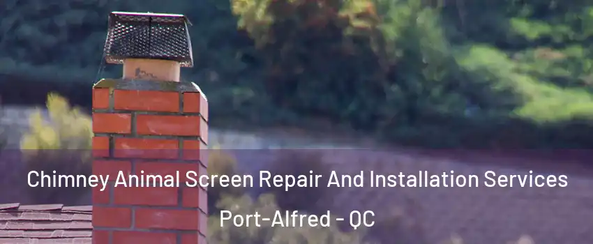  Chimney Animal Screen Repair And Installation Services Port-Alfred - QC