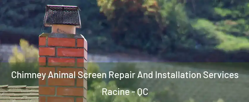  Chimney Animal Screen Repair And Installation Services Racine - QC