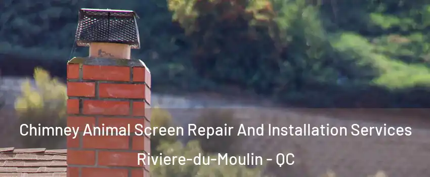  Chimney Animal Screen Repair And Installation Services Riviere-du-Moulin - QC