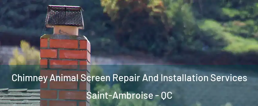  Chimney Animal Screen Repair And Installation Services Saint-Ambroise - QC
