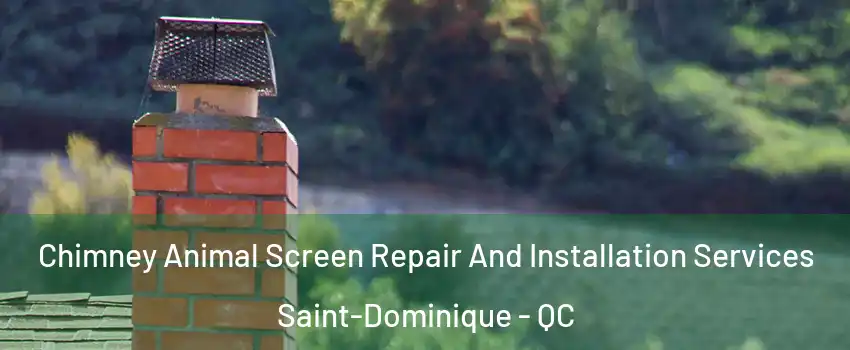  Chimney Animal Screen Repair And Installation Services Saint-Dominique - QC