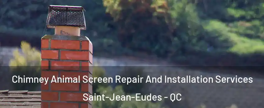  Chimney Animal Screen Repair And Installation Services Saint-Jean-Eudes - QC