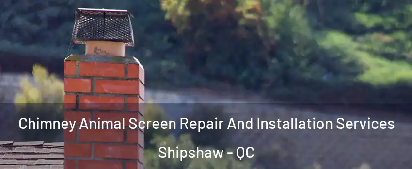  Chimney Animal Screen Repair And Installation Services Shipshaw - QC