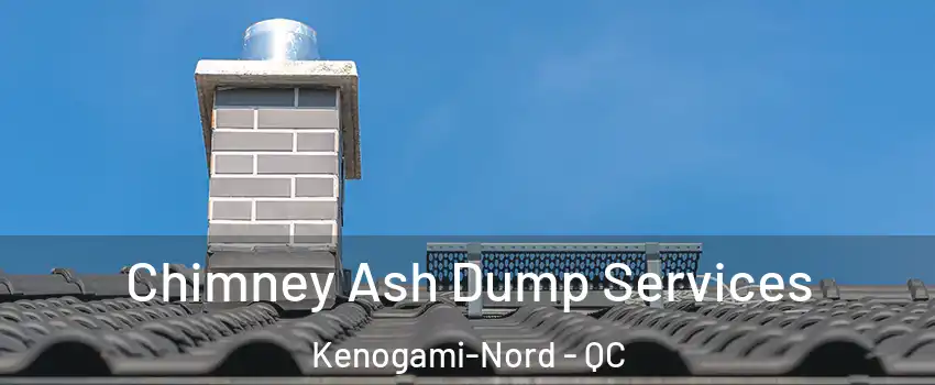  Chimney Ash Dump Services Kenogami-Nord - QC