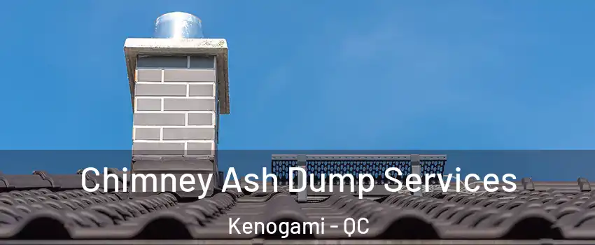  Chimney Ash Dump Services Kenogami - QC