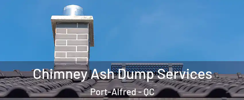  Chimney Ash Dump Services Port-Alfred - QC