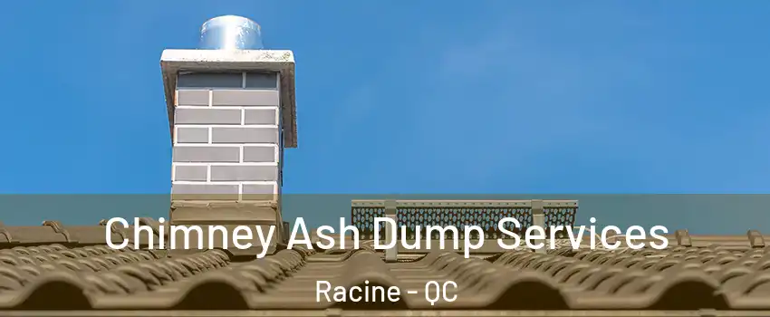  Chimney Ash Dump Services Racine - QC