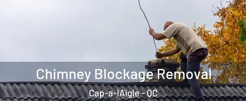  Chimney Blockage Removal Cap-a-lAigle - QC