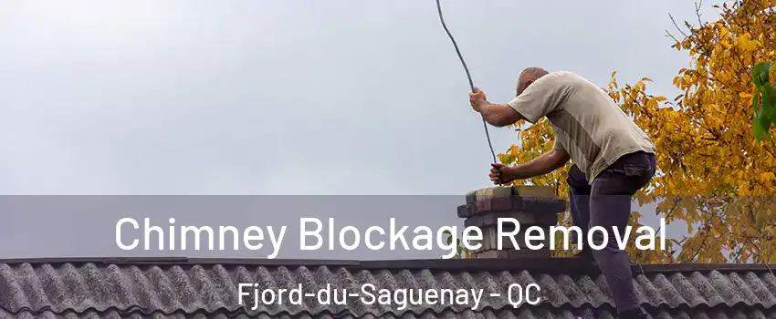  Chimney Blockage Removal Fjord-du-Saguenay - QC