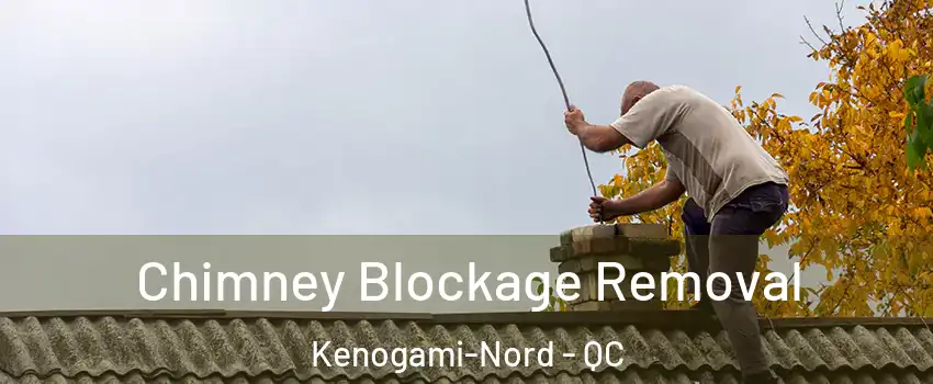  Chimney Blockage Removal Kenogami-Nord - QC