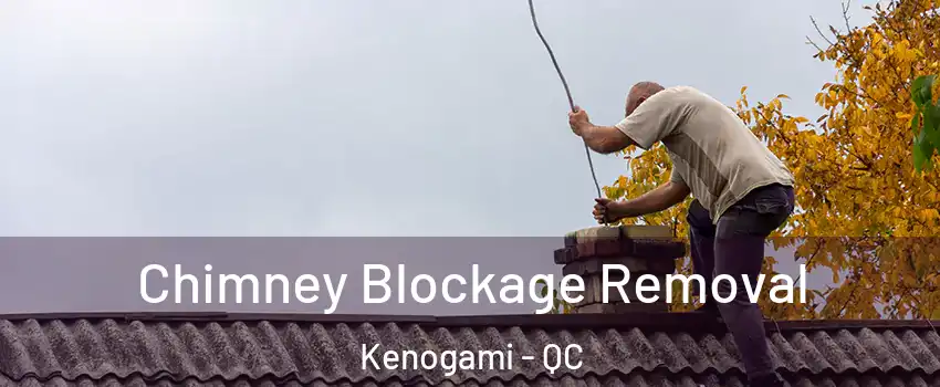  Chimney Blockage Removal Kenogami - QC