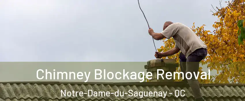  Chimney Blockage Removal Notre-Dame-du-Saguenay - QC