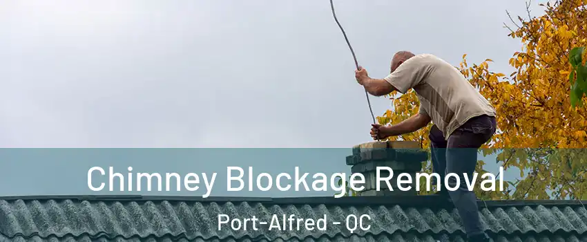  Chimney Blockage Removal Port-Alfred - QC