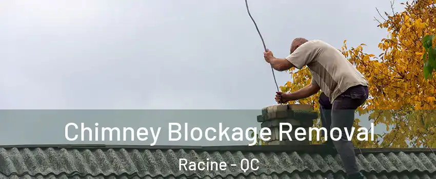  Chimney Blockage Removal Racine - QC