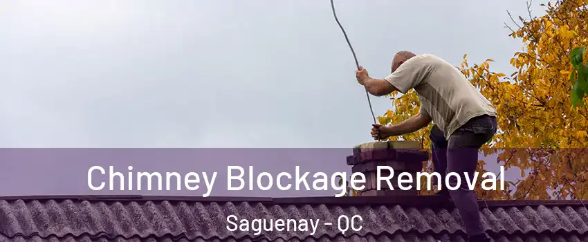  Chimney Blockage Removal Saguenay - QC