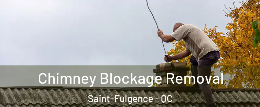  Chimney Blockage Removal Saint-Fulgence - QC