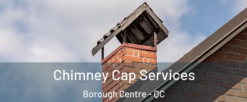  Chimney Cap Services Borough Centre - QC