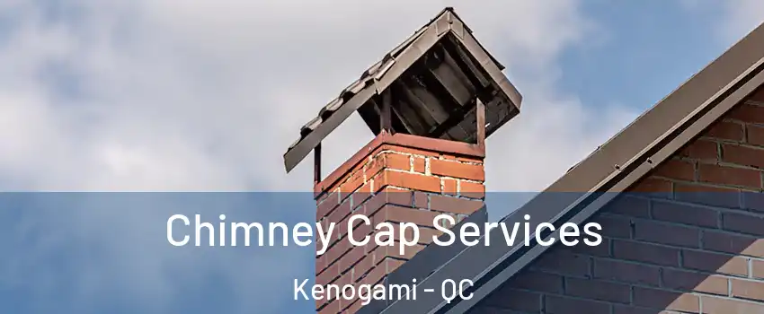  Chimney Cap Services Kenogami - QC