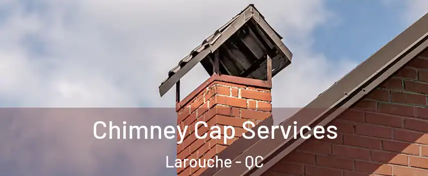  Chimney Cap Services Larouche - QC