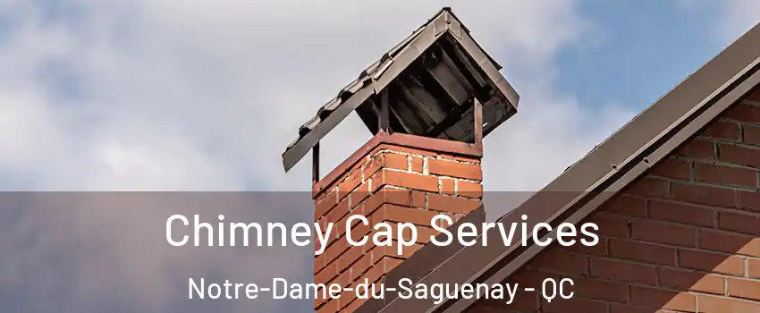  Chimney Cap Services Notre-Dame-du-Saguenay - QC