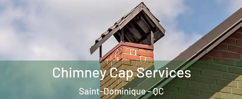  Chimney Cap Services Saint-Dominique - QC