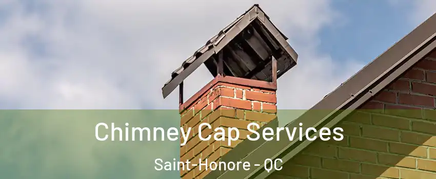  Chimney Cap Services Saint-Honore - QC