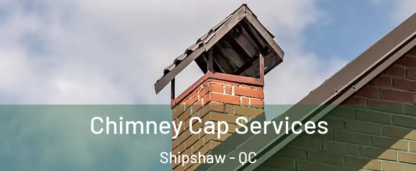  Chimney Cap Services Shipshaw - QC