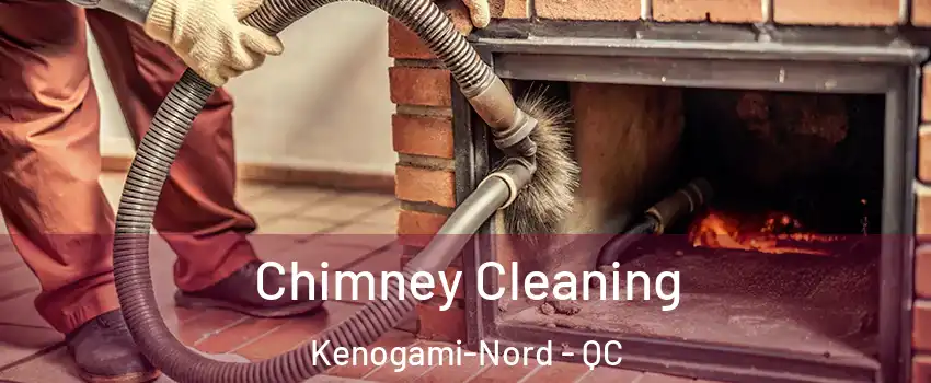  Chimney Cleaning Kenogami-Nord - QC
