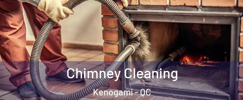 Chimney Cleaning Kenogami - QC